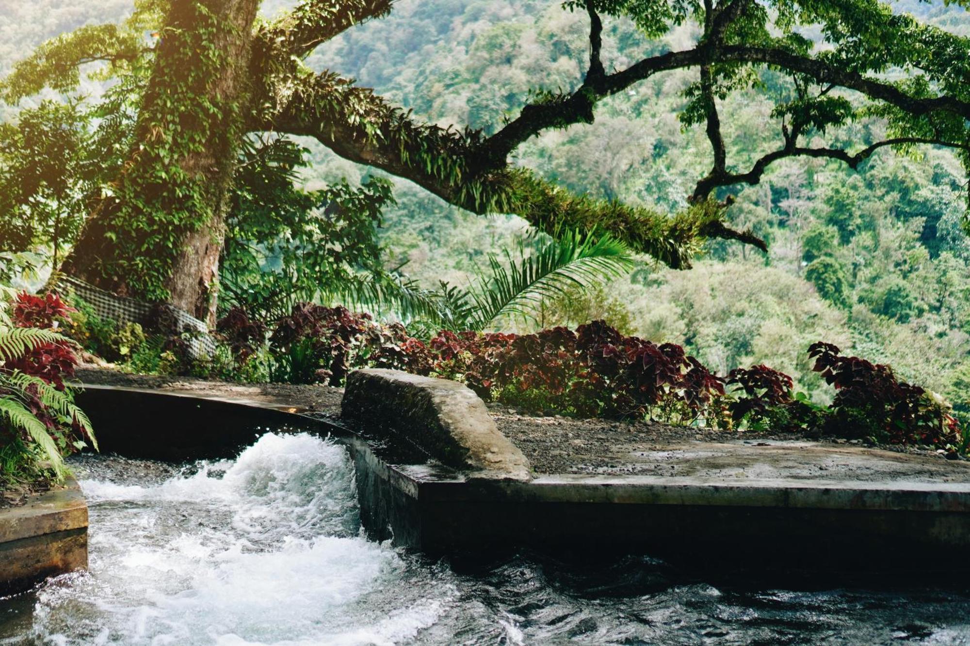 Maha Hills Resort By Mahaprana Experience Lovina Esterno foto